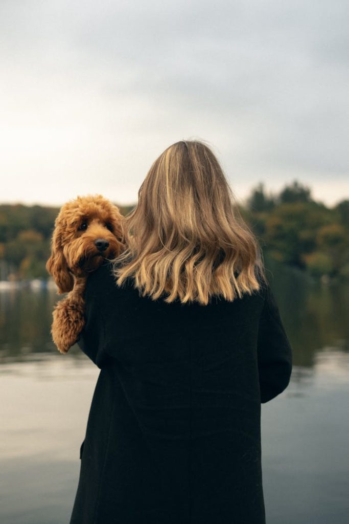 A serene scene of a woman holding a dog by the lakeside in Düsseldorf, capturing tranquility and companionship.